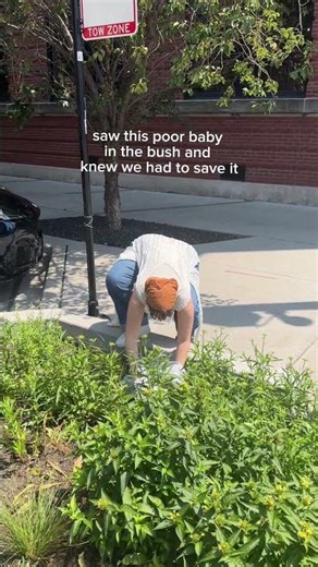 Saving this poor, abandoned, baby!​​