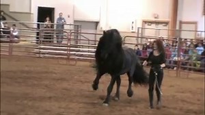 1.3K reactions · 1.9K shares | Frederik the Great on Reels | Facebook