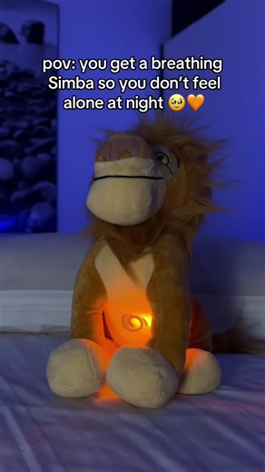 LionTeddy on TikTok