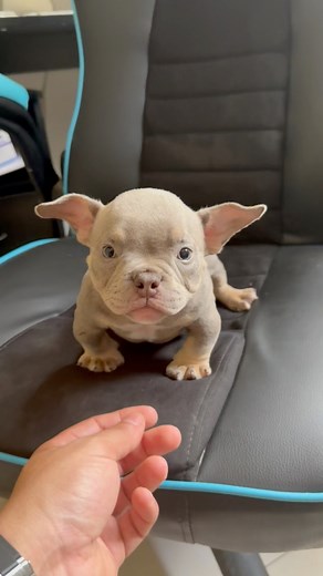 Crazy Dora Daughter. #lifestyle | Kerouani Mino