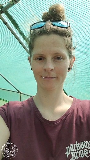 PM's @wholelotarozie gives us a little look around her veg garden (@wild_permaculture_garden) in early spring. Rozie reveals what's going on in the polytunnel in April, shows some of the overwintered veggies and shares an experiment for pest-free strawberries 🍓 Rozie also talks more about her garden in PM115. #veggarden #kitchengarden #community #permaculture #polytunnel #toptips #hack #organicgardening #nodig #spring #April #aprilgarden | Permaculture Magazine