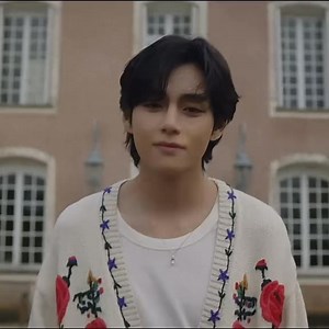 34K views | BTS V Myanmar Fanbase on Reels | Facebook