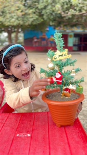 Behan Ka 🎄Christmas Tree 🫣Gayab Ho Gya Tabhi 😲😱 #shorts #ytshorts #youtubeshorts