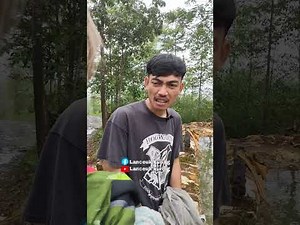 Caina saat jadi mandi di kolam renang ‪@umikuring33‬