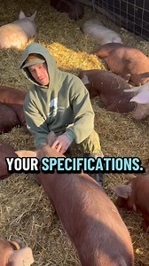 🐖✨ Spring 2026 Whole Hog Reservations — Now Open! ✨🐖 Forest-raised • Pasture-raised • 100% Heritage Hogs — fed an all non-GMO diet 🌾🔥 Premium pork with incredible flavor and rich marbling 🍽️❤️ 💰 $6.00 per lb (hanging weight) — ALL-INCLUSIVE ✔️ Butcher processing included ✔️ Hickory-smoked bacon, Pork Chops, Sausage, etc. ✔️ No hidden fees 📦 ~130–150 lbs of vacuum-sealed, frozen, labeled cuts 🔪 Custom butchered 100% to YOUR specifications 🗓️ Butcher months: March • April • May • June 202