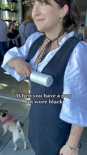 83K views · 3K reactions | What pug owners can relate?  Keep rollin’! | Doug The Pug | Facebook