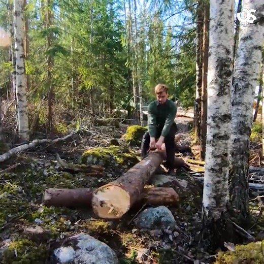1.3K views · 23 reactions | Dragging Out Last Logs by Hand for Log Cabin | Complete Bushcraft | Facebook
