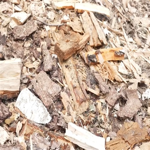 built medieval outdoor workshop from huge hewn logs with ax for my log cabin | Amber Felicity