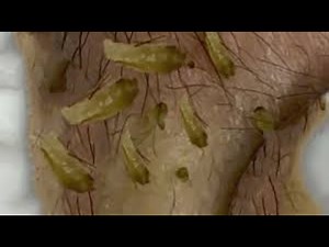 𝘗𝘦𝘳𝘧𝘦𝘤𝘵 𝘛𝘪𝘮𝘦 𝘍𝘳𝘰𝘮 𝘕𝘩𝘢𝘵 𝘉𝘢𝘯𝘨 𝘚𝘱𝘢