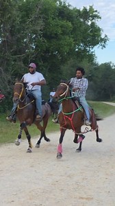 Joseph Cartwright Brewster vs Donnell Patterson 🐎💨 Cartwright brought HotGirl from the back for the 🏆 win💪🏿💪🏿💪🏿... In the words of Cartwright Hoochie, HotGirl, & T7 the Fastest Free leg horses in Texas‼️ #RealDeal #RealDealRidingClub #RealDealSinglefootersAndPacers #trailriding #trailriders #horseracing #culturalexperience #Horse #horses #blacktrailriding #Blacktrailrides #blackcowboys #blackcowboy #westernlife #horselife #countrylife #Standardbred #Cowboys #Cowgirl #horsemen #foryoupag