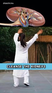 Stomach and kidney workout | உடல் & மன ஆரோக்கியம்