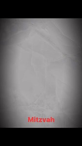 #Mitzvah #Adopt #PugBeagleMix #DPSRescue | Doggie Protective Services (DPS Rescue)