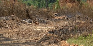 Additional Mississippi counties enact burn bans