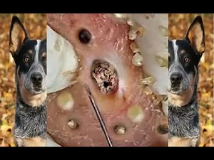 Progreso humano con sueños #QBS