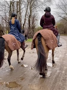 B-Stensgaard.dk on Reels | Facebook