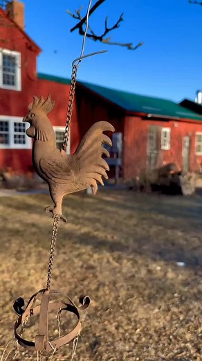 🌿 Next time you’re near Wilton, NH, don’t miss a visit to the family-owned @hilltopcafenh where fresh, preservative-free food meets true local love. 💚 ✨ Why we love them: -100% fresh, no artificial anything -Deep commitment to local agriculture, community & health -The Zielie Family and team compost everything and use compostable to-go containers, utensils, cups & straws We’re proud to partner with Hilltop Cafe and support their mission to reduce single-use plastic waste and build a more susta