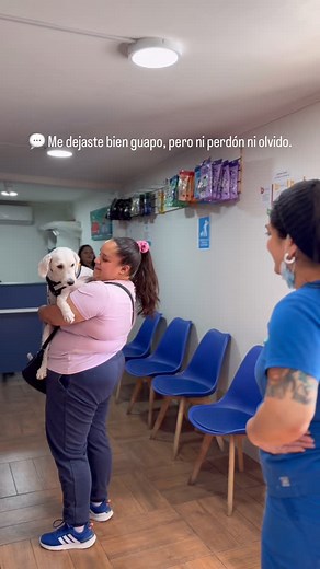 Todo iba perfecto… relajado, disfrutando su spa 🛁🫧 Pero cuando llegó el momento de salir… mmmm 🤨 ¡Silvia ya no era su amiga! 😂 Veamos qué pasa la próxima vez… 🐾 Peluquería Canina Porque tu mascota no solo tiene que verse bien… ¡tiene que sentirse increíble ✨ Nuestra groomer cuenta con certificaciones profesionales, experiencia y mucho cariño para que tu peludo se sienta seguro y tranquilo. 🧴 Baño hipoalergénico ✂️ Corte, uñas y deslanado 🫶🏼 Perfume suave y cuidado especial 📍 18 Oriente