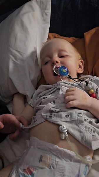 2.6K views · 198 reactions | Days 238, 239, 240, & 241: The weekend...