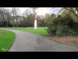 Eye Floaters Simulator