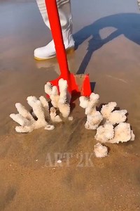 5.8K views | Great things from the sea :) :) :) | Factory Worker | Facebook