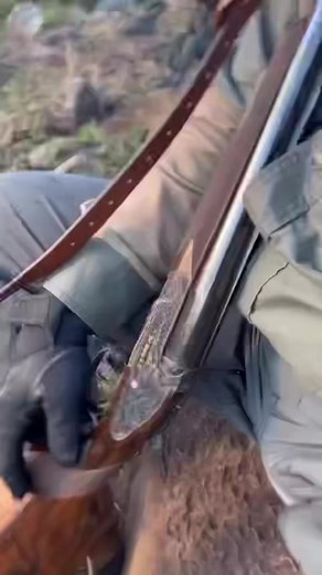 1.5K views · 35 reactions | A Rigby kind of afternoon with views to match…#johnxbuffalohunts #theeastcapeexperience #theeastcapehuntingexperience #rigbyrifles #470rigby #rigbydoublerifle Rigby Rifles Australia & NZ | John X Safaris | Facebook