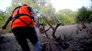 JC—My World Outdoors finds success in early season Kanas on a big mature whitetail with his bow. #hunting #bowhunting #whitetail #deer #deerhunting #bigbucks #hoytbowhunting #ozcutbroadheads #hhasports | My World Outdoors