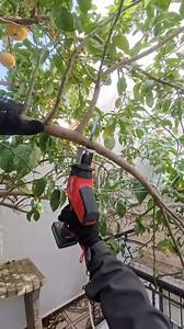 244K views · 3.4K reactions | Installing an expandable aluminum drying rack… in a very unlikely spot  Outdoor installation, tricky access, and a few acrobat moves to get the job done. Clean, solid, and functional — even when conditions are not ideal  #fblifestyle #diy #outdoorliving #homeimprovement #handyman | Brikoula بريكولة | Facebook