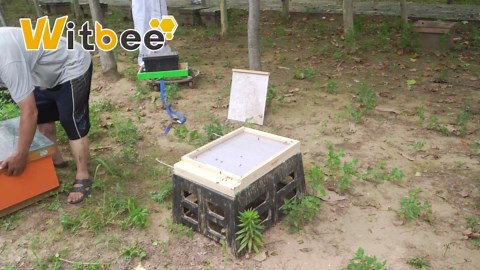 10 Frame Langstroth Beehive Screened Bottom Board Beekeeping Hive Screen Tool