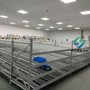 [Hot Item] Gravity Live Flow Rack Fifo Storage Rack for Warehouse Use