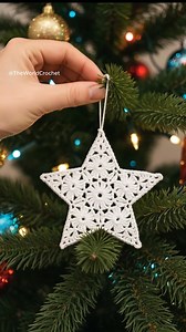 A cozy Christmas moment! ⭐️ Watch me hang this delicate crochet star ornament — perfect for adding handmade magic to your holiday decor. Want the pattern? Check the link in bio! 🎄💫 #crochetdecor #crochetchristmas #crochetornament #handmadechristmas #christmascrafts #crochetstar | Theworldcrochet