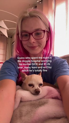 Baby Fainted at Pet Hotel: Recovery After Vet Stay