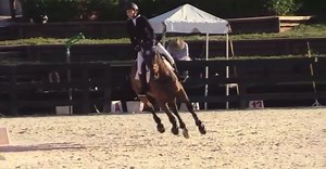 Another top finish for Maggie Kehring and West Side River 💪🏼 taking the win 🥇 today in the $2,500 Medium Junior/Amateur Classic! Huge congrats to Maggie for great riding all week and 🔝 results! #OaklandStables | Oakland Stables