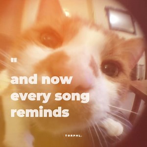 So Sick, Ne- Yo - Coline Ahorro | 𝙏𝙤𝙧