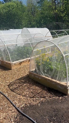 1.9K views · 21 reactions | We ❤️ our pollinators, but they aren’t...