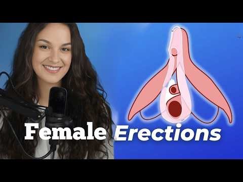 How a Female Erection Actually Works | Urologist Explains