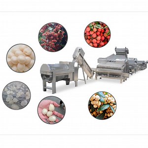 [Hot Item] Canned Lychees Litchi Production Line Commercial Canning Machine Professional Canning Systems
