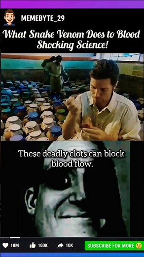Snake venom vs human blood – the result will shock you! 🩸🐍
