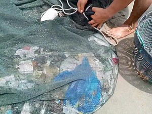 1.8K views · 41 reactions | beach seine net | Zami Akbar | Facebook