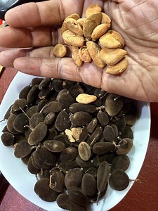 Black Velvet Tamarind (yooryi/ Icheku) - Etsy Canada