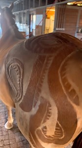 #ANDISGROOMNATION Ambassador @clip_my_ride never fails to amaze us with crisp lines crafted with the #ANDISGROOMING Excel 5-Speed Clipper. ✅ Want to elevate your equine designs? 👀 Check out andis.com to shop all the tools you need to unleash your creativity. 🎨 #Excel5Speed #EquineGrooming #HorseGrooming | Andis Grooming