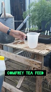 1.4K views · 29 reactions | How to achieve a successful greenhouse...