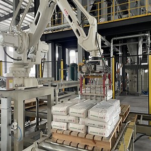 [Hot Item] Automatic Palletizer System for Different Packing Bag