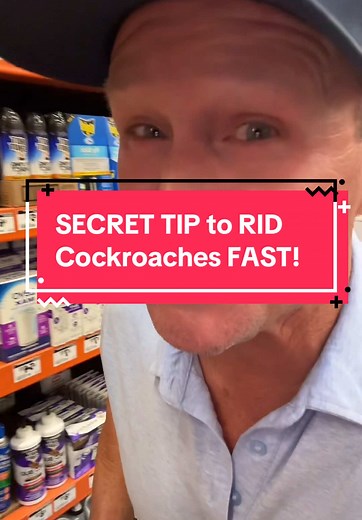 Secret Tip to Eliminate Cockroaches Fast
