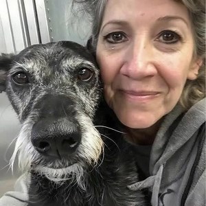 J'AI ADOPTÉ LE PLUS VIEUX CHIEN DU REFUGE, QUI N'AVAIT PLUS QU'UN...