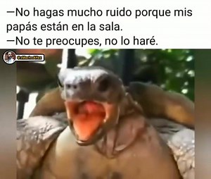 7.8M views · 32K reactions |  | El Macho Alfa | Facebook