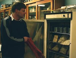 Fire behaviour in the outdoors