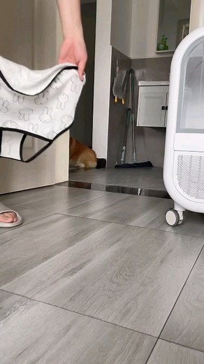 2.1K views · 486 reactions | The smile at the end ❤️ .  Credit by➡️...