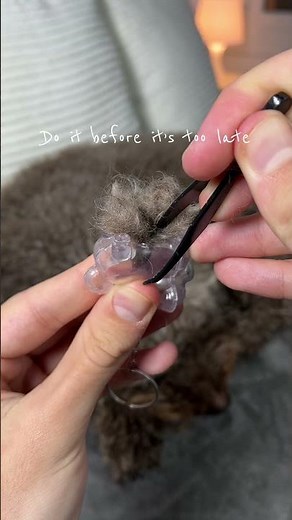 Dog owners will love this keychain ❤️‍🩹🐾 #dogmom #petloss #dogowner #petmemorial #dog