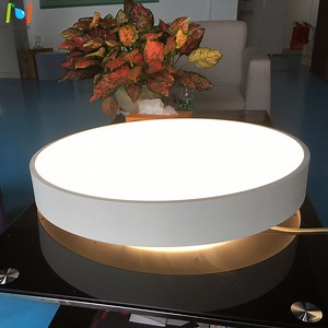 [Hot Item] up 30W Down 50W Ceiling Suspended Lighting LED Pendant Light with Black/White Finish