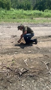 23K views · 213 reactions | We found a female bison in the sandbar. I. #fossilhunting #river #fossils | Bison Bison Paleo Fossils | Facebook